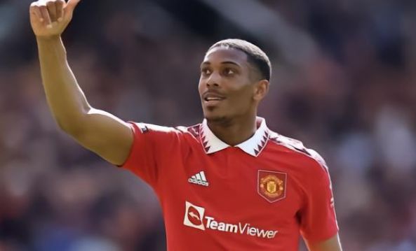 心健康的巨 心健康的巨